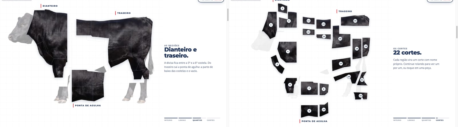 Boi explodido do site do Magistral em dois momentos — dianteiro e traseiro separados, depois os 22 cortes numerados (imagem ilustrativa)